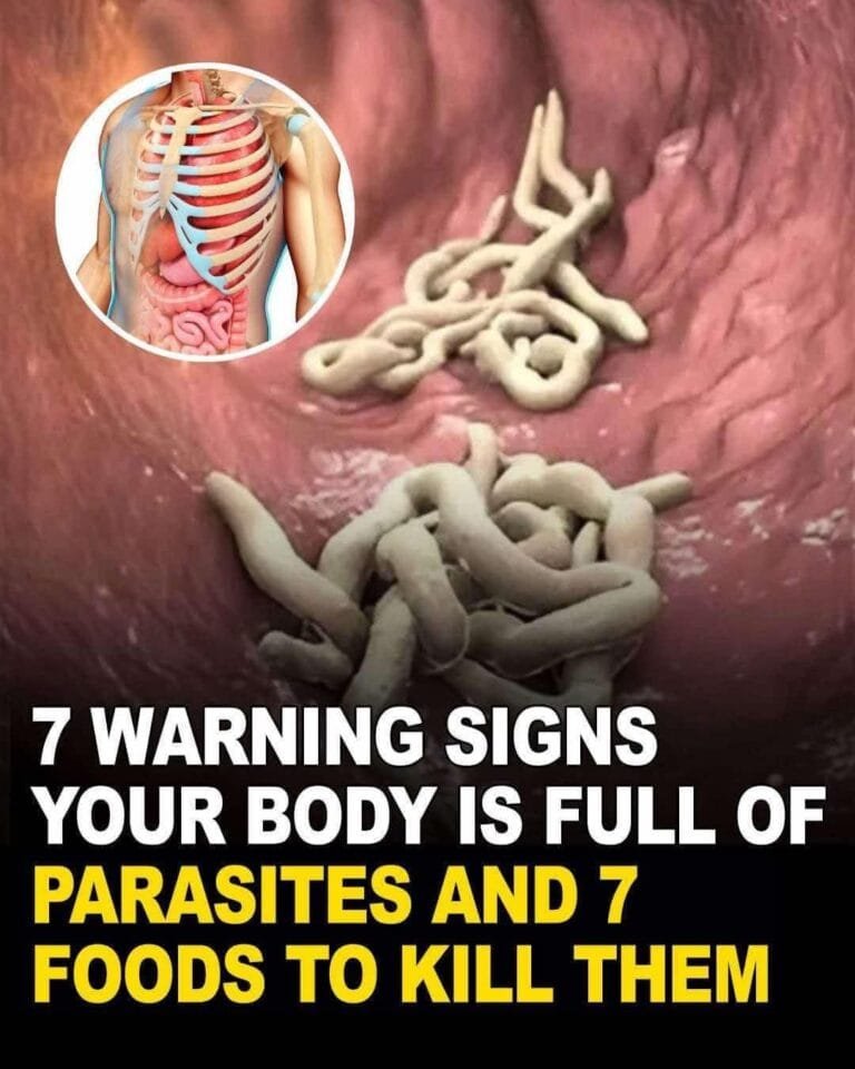 480775459_1090786669734234_867417145684304503_n